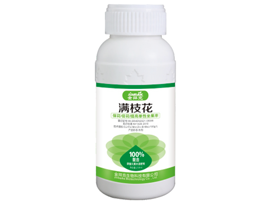 滿枝花