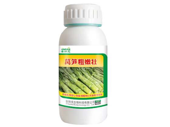 萵筍粗嫩壯