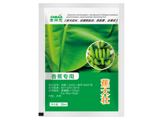 蕉大壯
