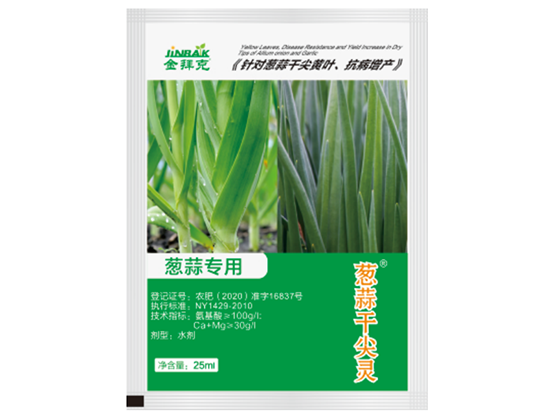 蔥蒜干尖靈
