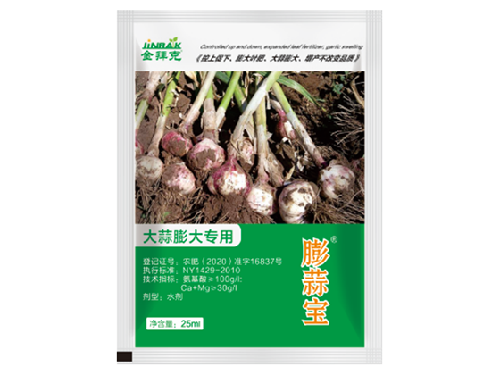 膨蒜寶