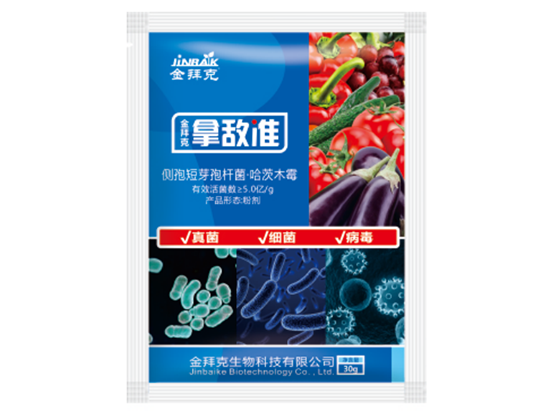 拿敵準(zhǔn)