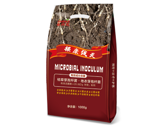 根康線(xiàn)滅