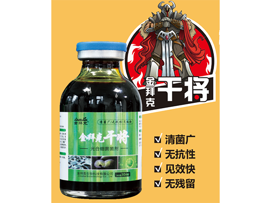 干將